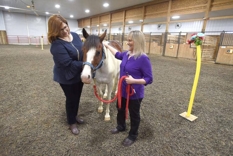 Wanda Figueroa, president & CEO at RiverValley Behavioral Health, left, is shown Stella, a therapy horse, by Sandy Webster on Friday at Dream Riders of Kentucky.